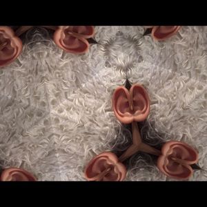 Meet your Posher, Rod